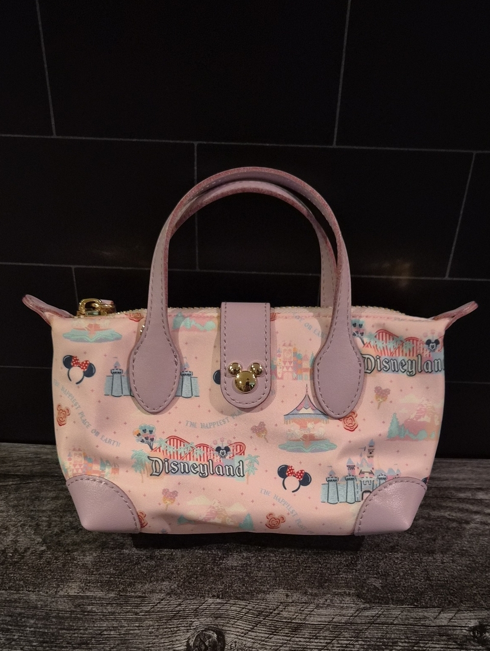 Disney x Stoney Clover Lane "The Happiest Place on Earth" Mini Tote